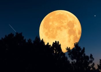 „Суперлуна изгрява над тъмни силуети на дървета при ясно нощно небе – голяма, златиста Луна осветява хоризонта.“