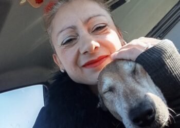 ДоброЛЕК: Светлите празници са време, в което да притихнем, да се смирим, да благодарим! Да покажем на децата си доброта в действие!