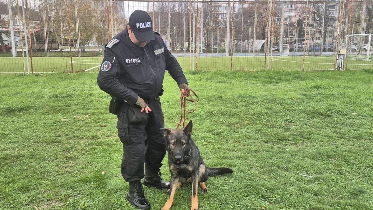 Главен инспектор Стоян Димитров със служебното куче Принцес по време на тренировка в Аспаруховия парк.