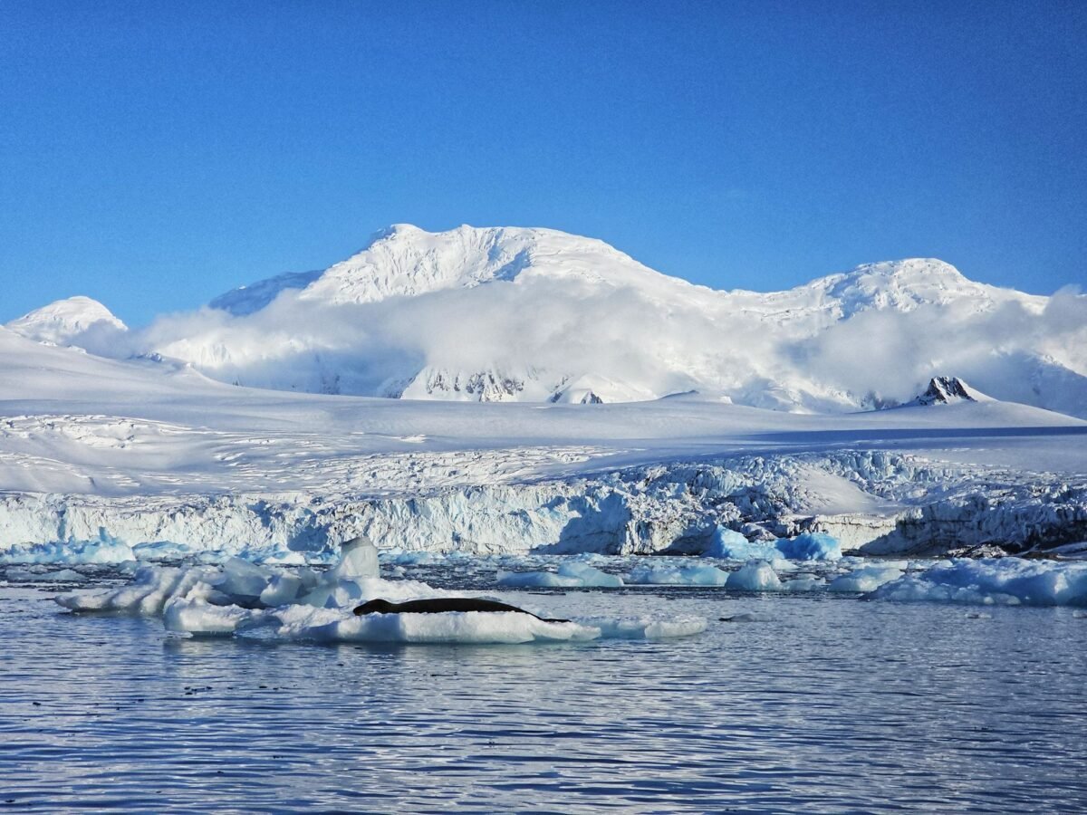 Антарктически пейзаж с ледници, снежни върхове и плаващи айсберги при ясно синьо небе.