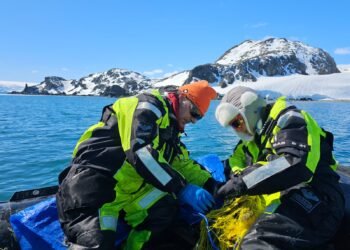 Български учени провеждат морски изследвания с лодки „Зодиак“ край остров Ливингстън в Антарктида