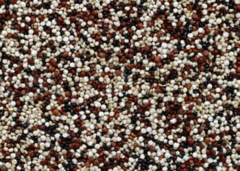 Амарантът – подценяваната култура с огромен потенциал за България