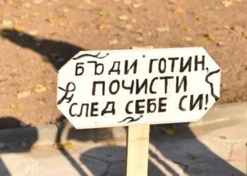 Варна с отличено дете в национален еко конкурс с над 400 участници