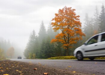 Облачно зимно утро във Варна с намалена видимост и спокойно море