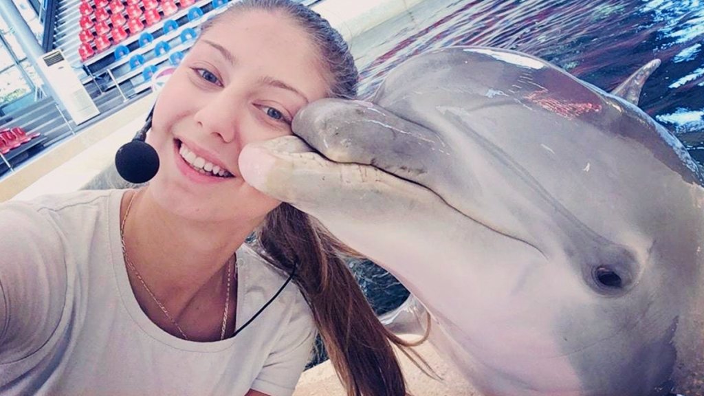 Делфини по време на празнично шоу в Делфинариума във Варна