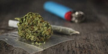 Варненец сам „се издаде“ и предаде тревисто топче на полицията в морския град