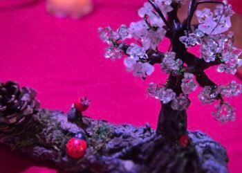 Алекс: Силата на естествените камъни и кристали е вълшебна