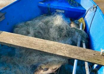 Извадени незаконни хрилни мрежи от язовир Елешница край Цонево