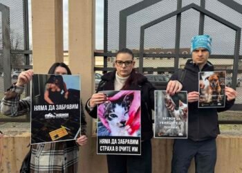 Природозащитници след делото срещу садистите Красимир и Габриела: Държаха се нагло и арогантно! (СНИМКИ)