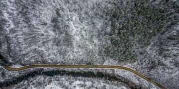 Незабавни издирвателни действия спасиха от измръзване жена, изгубила се в гората