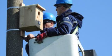 ЕРП Север обезопаси близо 4600 електрически стълба и постави 1152 дивертора в защита на птиците