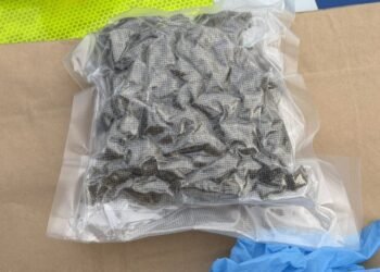 Изправят пред съда в Шумен 21-годишен наркодилър от Варна