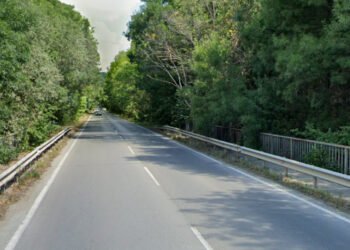 На 15 и 16 януари ще се премахват крайпътни дървета в участък от път I-9 в област Добрич. Шофирайте внимателно!