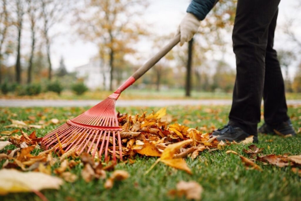 Реалистична есенна сцена – човек събира паднали жълто-кафяви листа с градинско гребло върху зелена тревна площ в парк, хоризонтален кадър, естествена светлина, без надписи