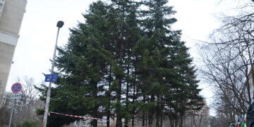 Поставят модерно енергоспестяващо осветление в кв. „Чайка“