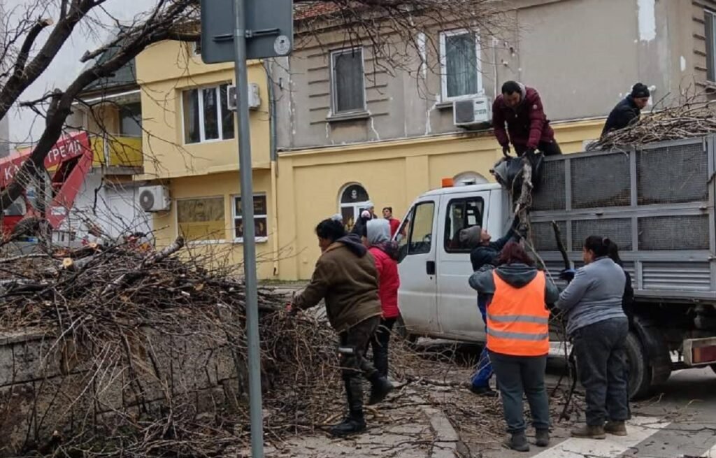 Резитба на опасна топола в района на ОУ „Елин Пелин“ във Варна