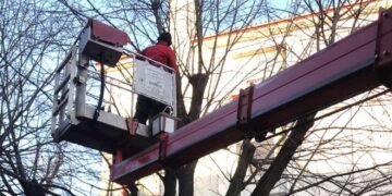 Паднало дърво до училище във Варна бе отстранено след силния вятър