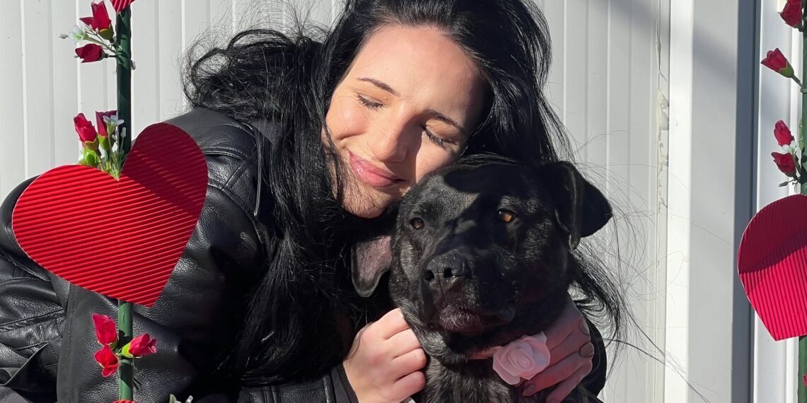 “Шампанско и сълзи” или любов и мизерия под покрива на общинския приют в Каменар  (ВИДЕО/СНИМКИ)