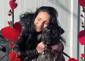 “Шампанско и сълзи” или любов и мизерия под покрива на общинския приют в Каменар  (ВИДЕО/СНИМКИ)