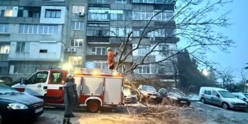 Десетки сигнали заради вятъра във Варна и областта