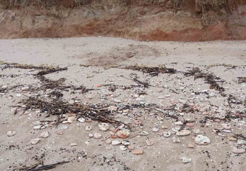 Черни лепкави парчета с вид на нефтопродукти върху пясъка на плаж край Шабла