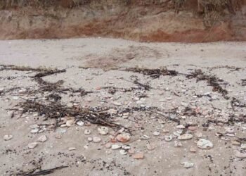 Черни лепкави парчета с вид на нефтопродукти върху пясъка на плаж край Шабла