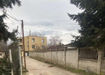 Питбул уби бездомно куче пред очите на малки деца във Варна