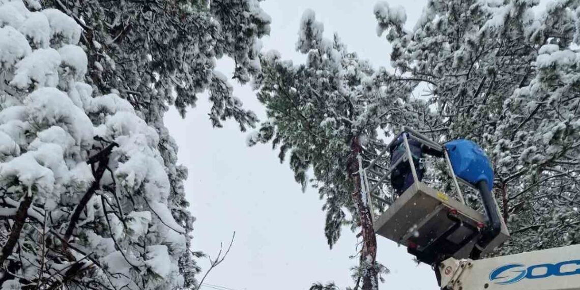 Служителите на ЕРП Север отстраняват аварии в тежки метеорологични условия