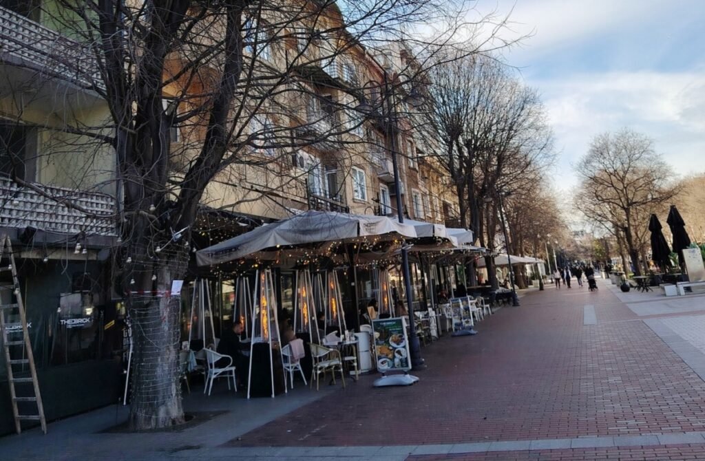 Резитба на дървета по булевард „Сливница“ във Варна