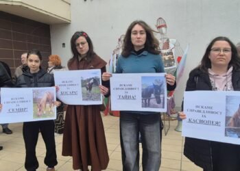 Протест във Варна срещу застрояване на терена на „Фанагория“