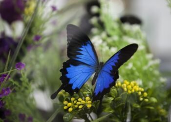 Стартира приемът за инвестиции в преработка на селскостопански продукти, насочени към опазване на околната среда