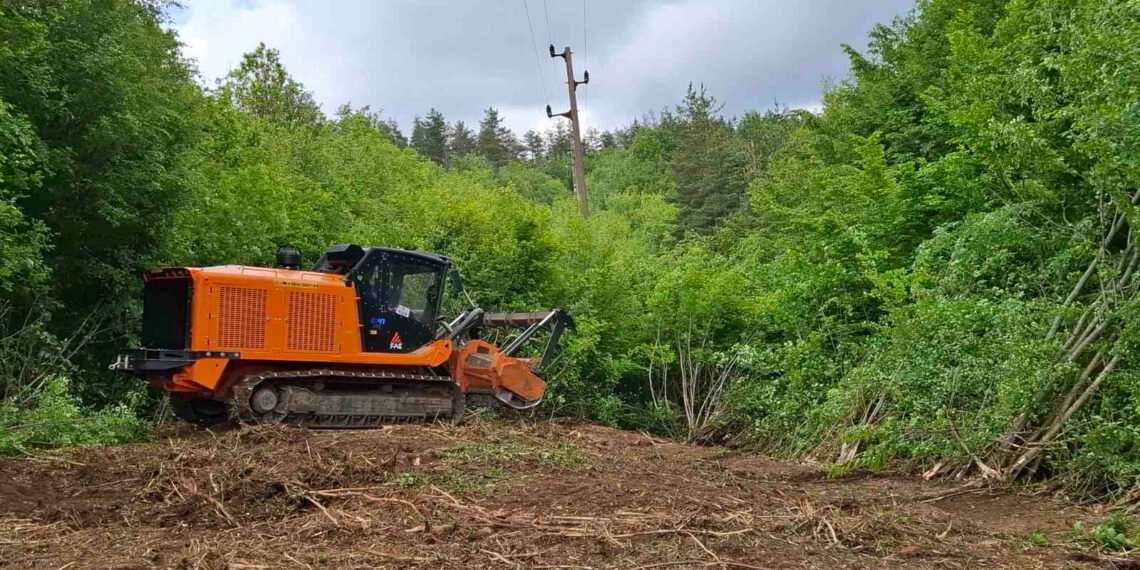 Електроразпределение Север планира да почисти над 1 000 км просеки в Североизточна България през 2026 г.