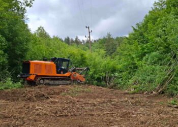 Електроразпределение Север планира да почисти над 1 000 км просеки в Североизточна България през 2026 г.