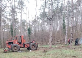 Сеч в гората на „Аспарухово“ предизвика напрежение – институциите: има издадени разрешения