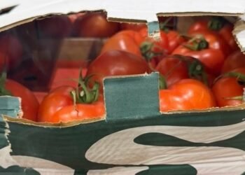 Митничари задържаха 16 тона недекларирани зеленчуци в камион, пътуващ от Турция за Украйна