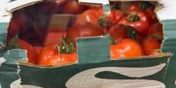 Митничари задържаха 16 тона недекларирани зеленчуци в камион, пътуващ от Турция за Украйна