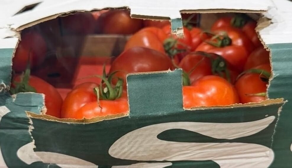 Митничари задържаха 16 тона недекларирани зеленчуци в камион, пътуващ от Турция за Украйна