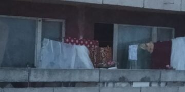 17 кучета бедстват, затворени в жилището на жена от “Владиславово”, институциите “спят” спокойно