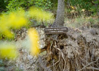 Варна дава старт на приключенско-литературни маршрути „Тайната България“ това лято