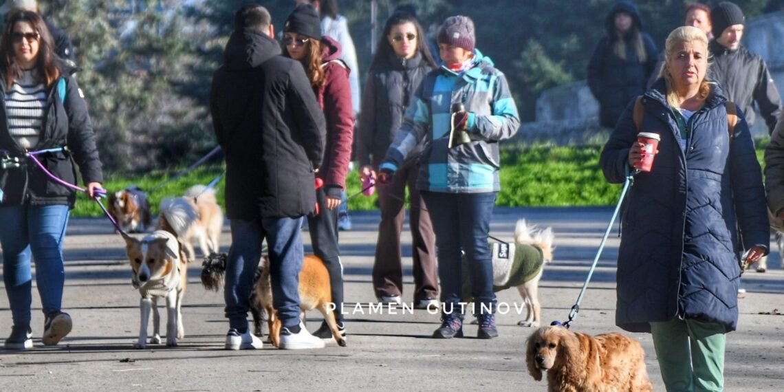 Масова градска разходка на кучета предстои на 15 март във Варна