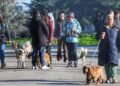 Масова градска разходка на кучета предстои на 15 март във Варна