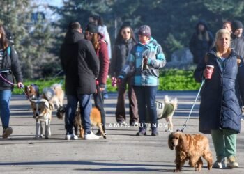 Масова градска разходка на кучета предстои на 15 март във Варна