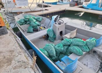 Над 600 кг бели миди без документи задържани при проверка край Обзор