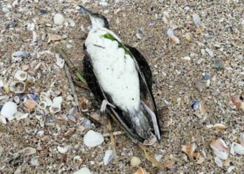 Басейнова дирекция – Варна възложи изследване на водни проби от Шабленското езеро