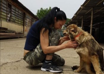 Пламенка Калинкина: Защо МЗХ и БАБХ упражняват репресия към доброволци, извършващи дейност в обществена полза?!