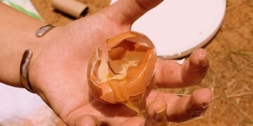 В Аксаково започва разделно събиране на хранителните отпадъци