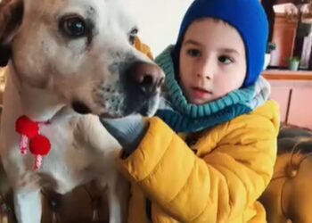 Когато терапията идва с лапи: Как Лъки Хънт помогна на Марти да замени страха с любов (ВИДЕО)