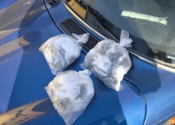 Десетки досъдебни производства и иззети наркотици при полицейска акция в Добрич и областта