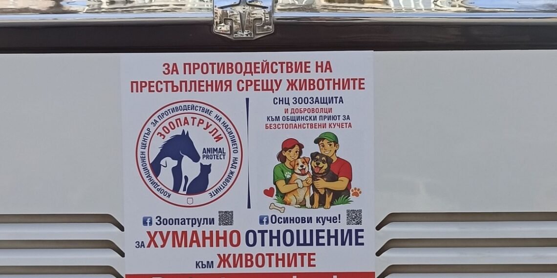 Автобуси във Варна с послание: Стикери срещу насилието над животни и призив за осиновяване от Каменар
