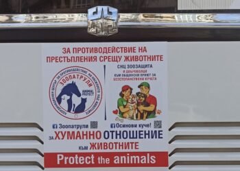 Автобуси във Варна с послание: Стикери срещу насилието над животни и призив за осиновяване от Каменар